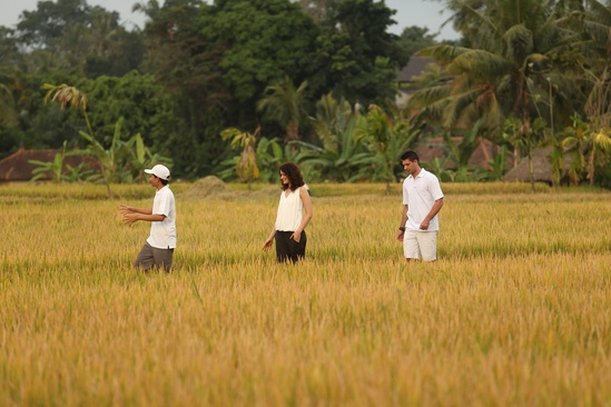 Alaya Resort Ubud