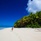 Alphonse Island Resort