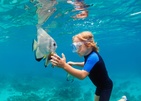 Emerald Faarufushi Resort & Spa