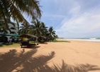 Joe's Resort