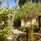 Royal Island Resort & Spa