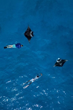 Kandolhu Maldives