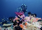 Robinson Club Noonu