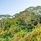 Dhevatara Beach Hotel