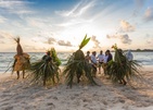 Malahini Kuda Bandos