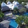 Andaman Cannacia Resort & Spa