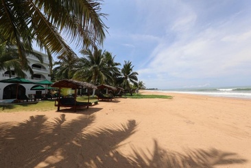 Joe's Resort