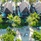 Le Jadis Beach Resort & Wellness Mauritius
