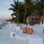 Niyama Private Islands Maldives