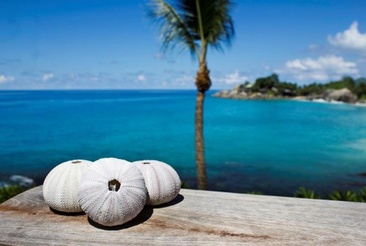 Carana Beach Hotel