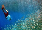 Park Hyatt Maldives Hadahaa