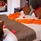 Le Duc De Praslin Hotel & Villas