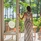 Sands Suites Resort & Spa