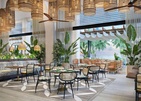 Canopy By Hilton Seychelles