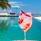 The Standard Maldives By Hyatt