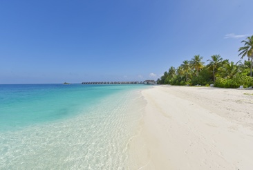 Safari Island Resort & Spa