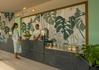 Joy Island By The Cocoon Collection