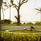 The Ritz-Carlton Maldives Fari Islands