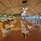 Aston Canggu Beach Resort