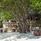 Jw Marriott Maldives Resort & Spa