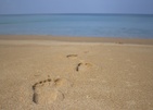 Maikhao Dream Villa Resort & Spa Phuket