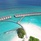 Brennia Kottefaru Maldives