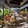 Laïla, Seychelles, A Tribute Portfolio Resort