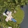 Banyan Tree Phuket