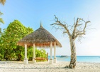 Palm Beach Resort & Spa Maldives