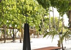 Joali Maldives