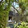 Dusit Thani Maldives