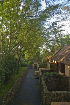 Alila Ubud