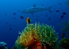 Eri Maldives (Ex. Eriyadu Island Resort)