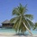Bandos Maldives Вид На Ресторан