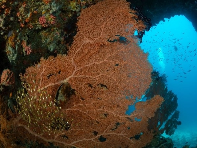Eri Maldives (Ex. Eriyadu Island Resort)