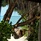 Four Seasons Resort Maldives At Landaa Giraavaru