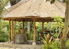 Alaya Resort Ubud