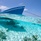 Park Hyatt Maldives Hadahaa