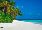 Stingray Beach Inn