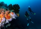 Eri Maldives (Ex. Eriyadu Island Resort)