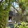 Dusit Thani Maldives