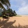 Joe's Resort