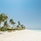 Dhigufaru Island Resort
