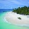 Malahini Kuda Bandos