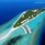 Niva Dhigali Maldives