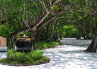 Ozen Reserve Bolifushi