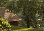 Alila Ubud