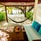 Kandooma Maldives(Ex.Holiday Inn Resort Kandooma Maldives)