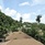 Panwaburi Beachfront Resort