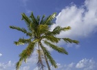 Furaveri Island Resort & Spa